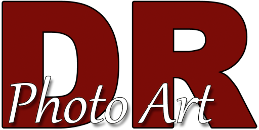 DR Photo Art logo