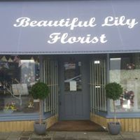 Beautiful Lily Florist