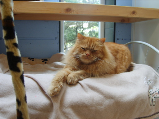 image0