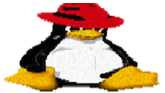Pinguis Web