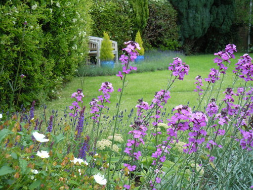 Front garden, new focal point, planting- first impressions count