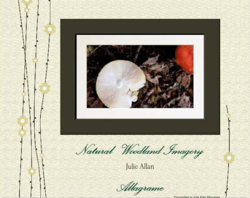 Book Natural Woodland Imagery