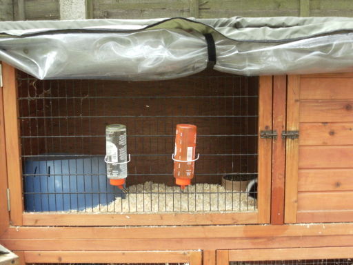 Rabbit boarding Redditch