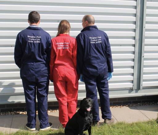 The team at Baughan Pest Control