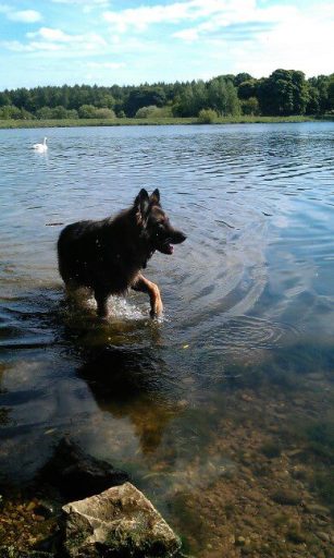 Maggie - One of our clients