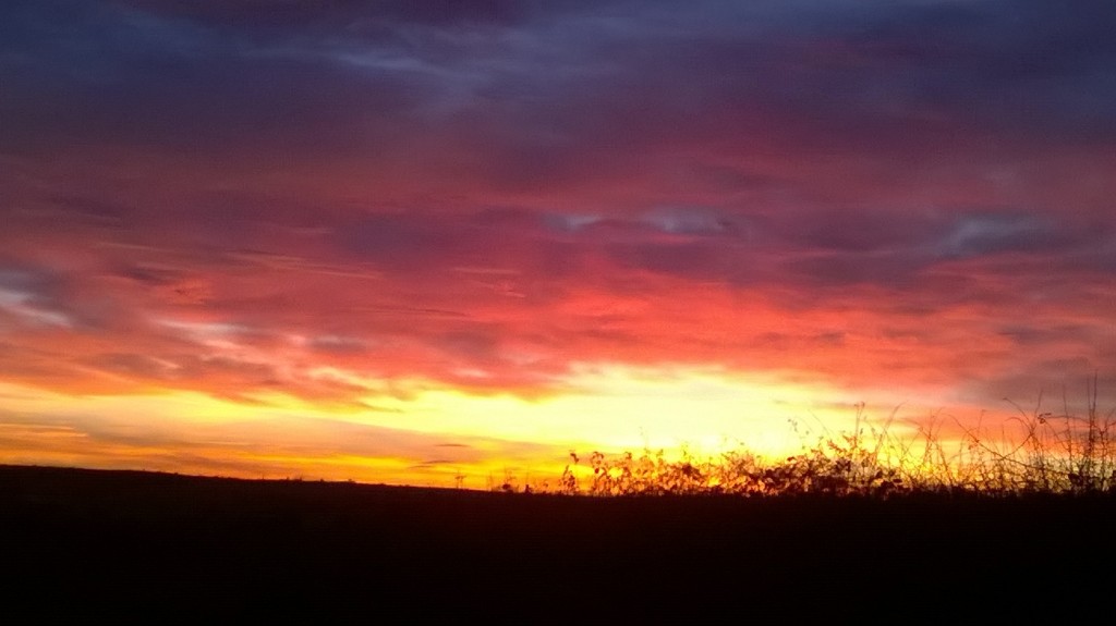 Rosedale Holiday Cottages in 51 Rosedale Lane, Port Mulgrave, Saltburn