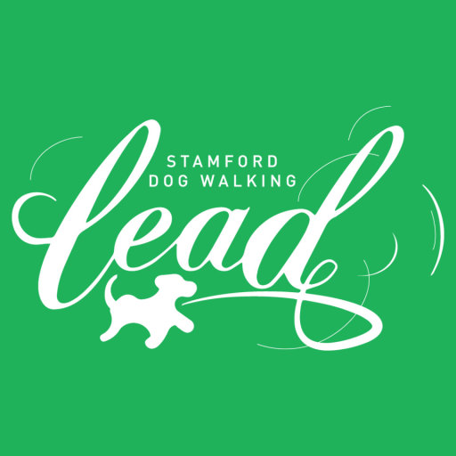 Stamford Dog Walking