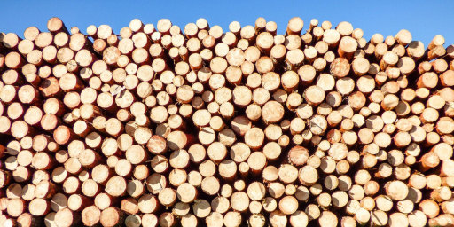 Stack of firewood