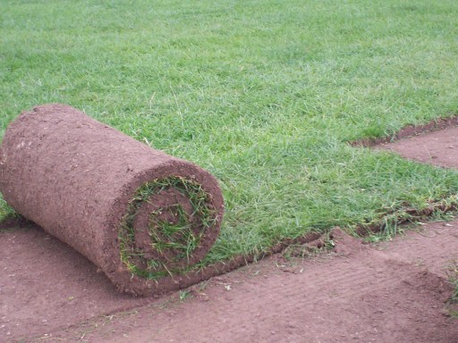 castle eden turf
