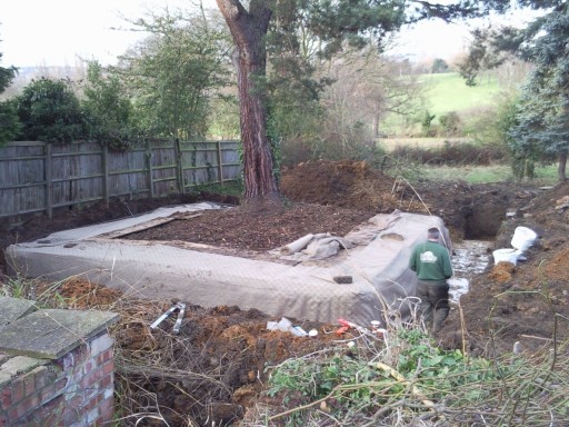 A mature Pine being translocated with a 8x8 metre rootball