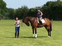 The Classical Riding Academy
