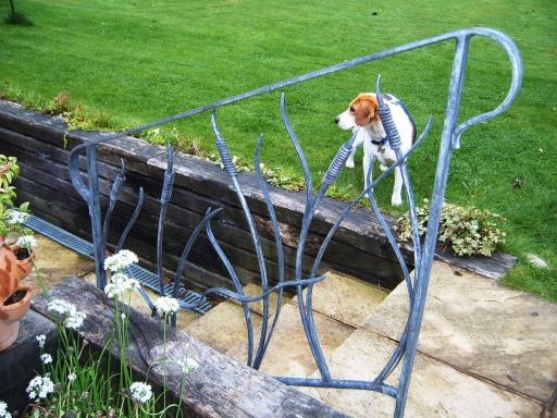 Bull rush hand rail.
