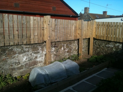 wall top fencing at Johnshaven