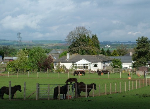 Fur and Feathers Pet Lodge