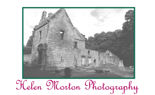 Helen Morton Photography