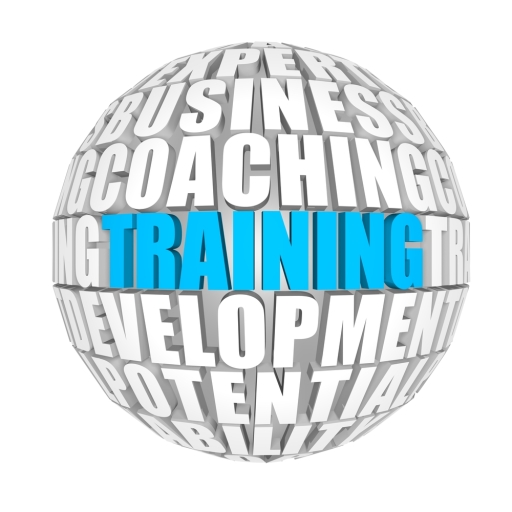 Bespoke ISO 14001 Training - Internal auditor