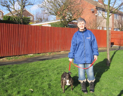 Wendy the dogwalker of Grantham with friendly Staffie