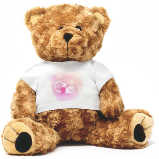 My Heartbeat Twist Bear with Baby Scan T-Shirt