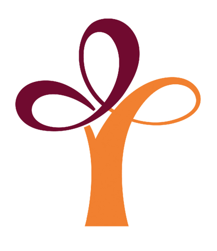 FSP Logo