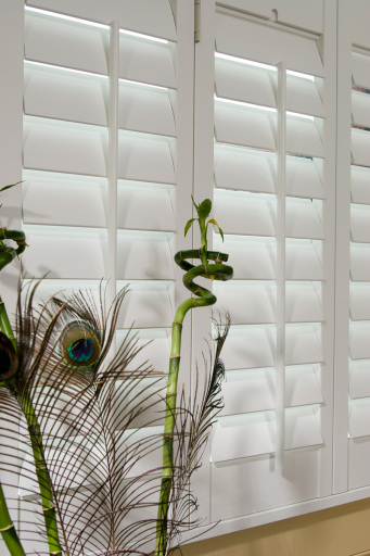 Seattle Shutters