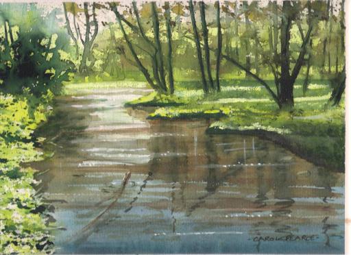 stickleback stream