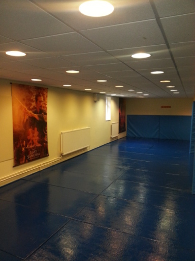 New Dojo. Permanent Matted Area.