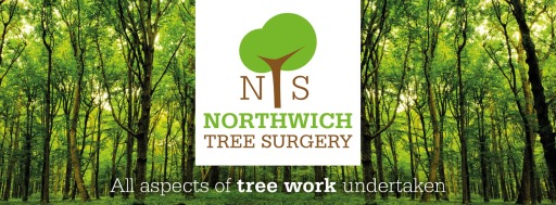 Northwich Tree Surgery