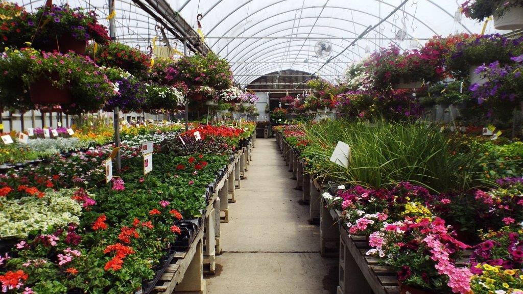 Brock Farms Home & Garden World 4189 US 9 North, Freehold, NJ, 07728