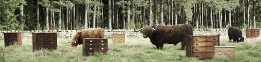 Best in the Highlands.