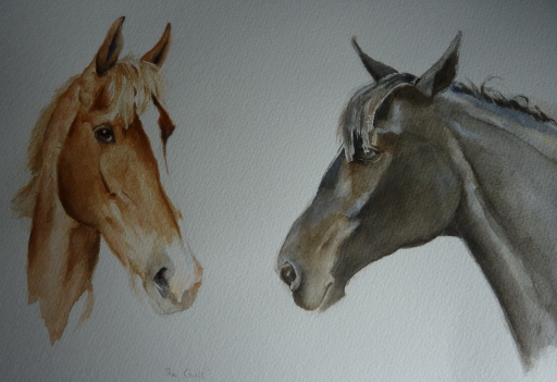 Horses - commissioned watercolour portrait
