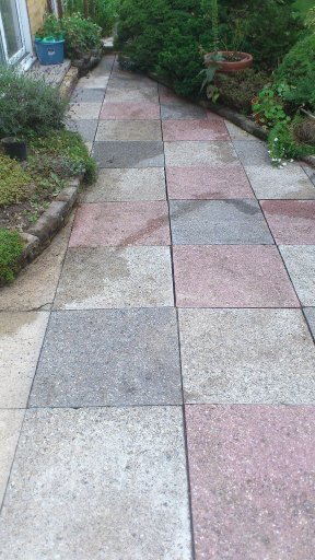 image1