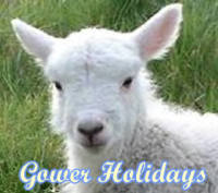 Gower Holidays
