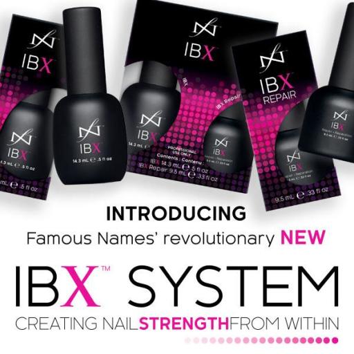 IBX System