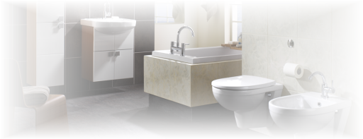 Professional Bathrooms