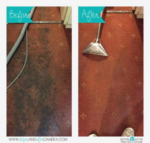 Carpet cleaning