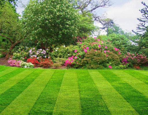 Taclus Gardening Cardiff