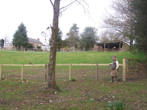 The Fields