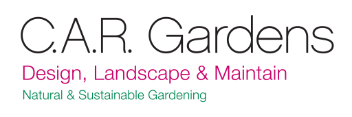 Our Company name and what we do.