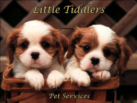 Little Tiddlers Pet Services