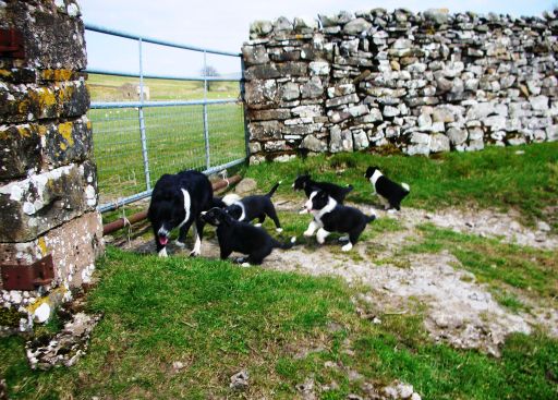 A typical personalised jigsaw puzzle photo.