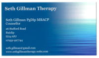 Seth Gillman Therapy