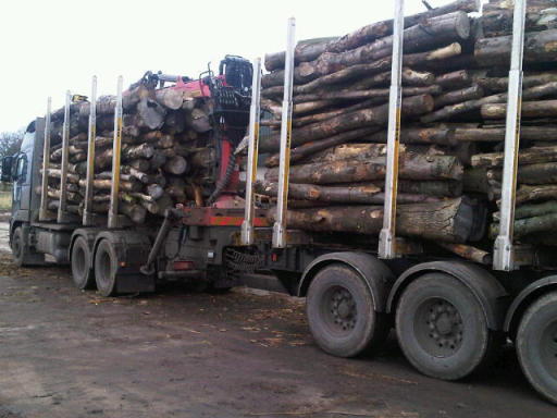 New stock arriving