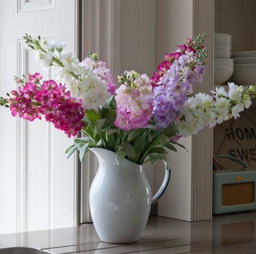 Stocks in white jug