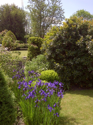 Garden border planting, Ditcheat.