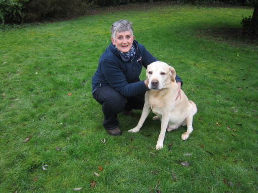 One of our longest standing (or should that be seated!) customers, the lovely Leo
