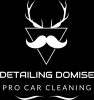 Detailing Domise