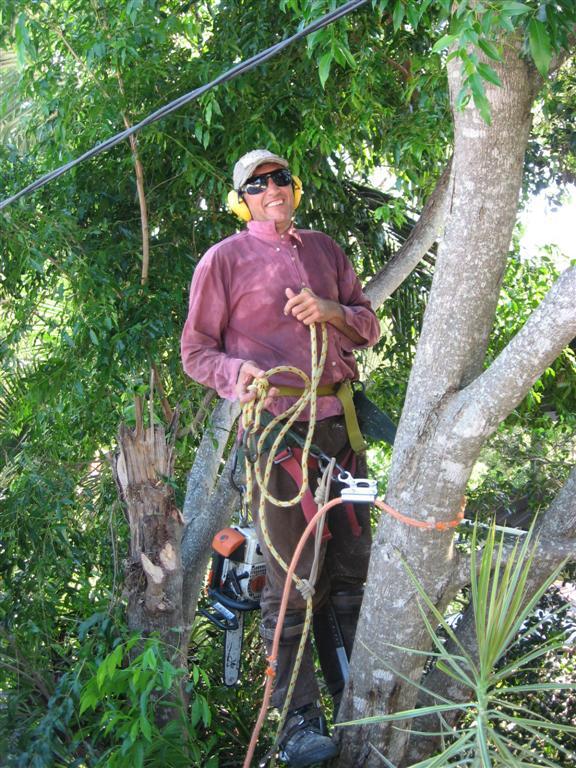 Dave's Tree Lopping Keona Road, McDowall, 4053