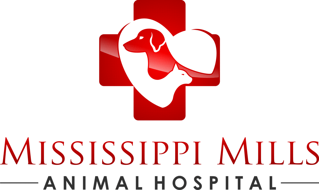 Mississippi Mills Animal Hospital 451 Ottawa St, Unit C, Almonte, K0A 1A0