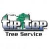 Todd's Tip Top Complete Tree Service