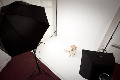 Studio Photography